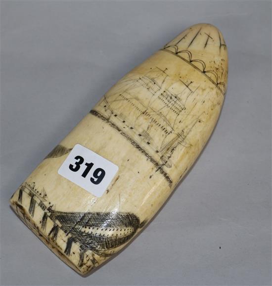 An early 19th century Scrimshaw whale tooth length 18cm